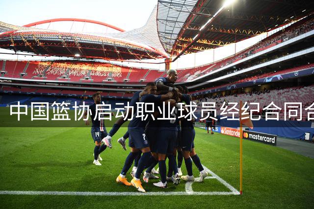 中国篮协启动职业球员经纪合同合规性核查